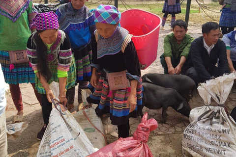 From Sapa: 1D Local Bac Ha Sunday Market Tour - Best Seller Bac Ha Market Tour with Local Lunch ( Lunch Included )