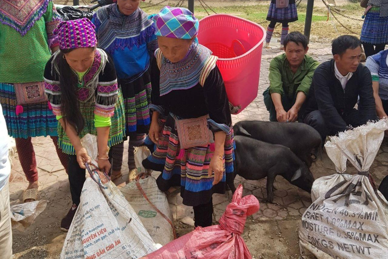 From Sapa: 1D Local Bac Ha Sunday Market Tour - Best Seller Bac Ha Market Tour with Local Lunch ( Lunch Included )