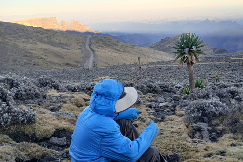 Nordäthiopien erkunden: 17-tägige Tour