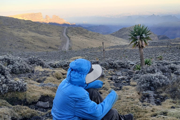 Nordäthiopien erkunden: 17-tägige Tour
