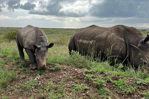 Nairobi: Half Day guided tour to Nairobi National Park