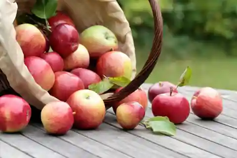 Apple farm & Cider tasting, Hardanger