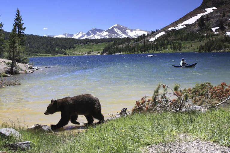 Från SF: Dagsutflykt till Yosemite med Giant Sequoias Hike &amp; PickupFrån SF: Dagsutflykt till Yosemite med vandring och upphämtning av Giant Sequoias