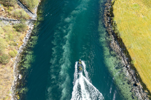 Bergen: Modalen RIB Fjord Safari with Lunch & Transfer