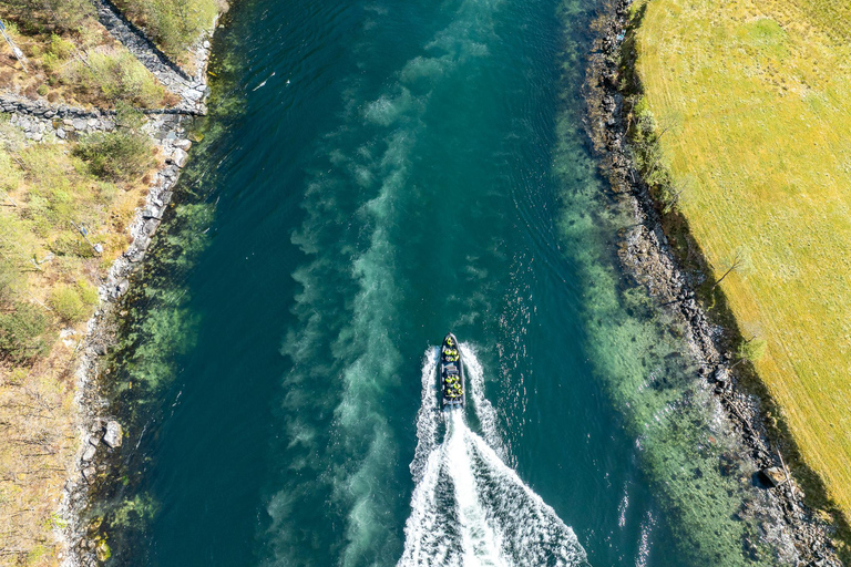 Bergen: Modalen RIB Fjord Safari with Lunch & Transfer