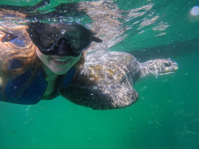 Visit Mancora Swimming and bathing with turtles | Entrance | in Máncora