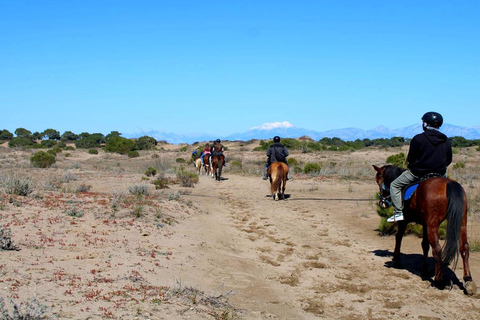 Antalya Forest and Beach Horseback Riding Tour Organization Sunset Tour Excluding Transport