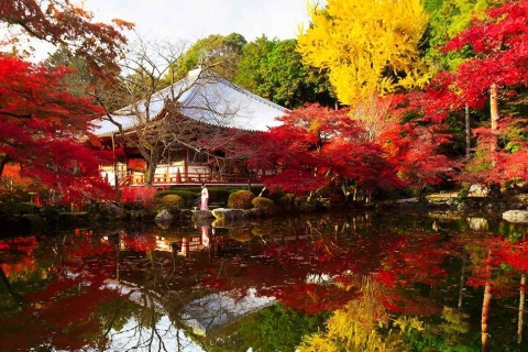 Kioto: Tour privado personalizado de un díaTour Privado Personalizado de un Día con Conductor-Guía