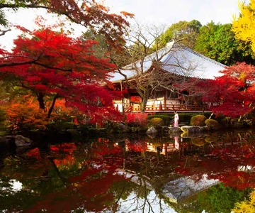 From Osaka: Private Customized Day Tour to Kyoto