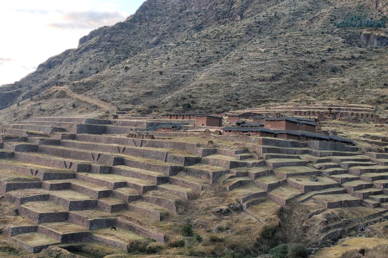 Flavor and Culture in Parcarhuasi: Ancestral Textiles and Pachamanca Banquet