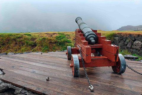 Från Reykjavik: Lunnefågel- och vulkantur på Västmannaöarna