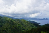 Flow（VacayLux）ツアーガイドSeychelles - Housity