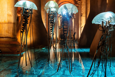 Istanbul: Tour guidato della Basilica della Cisterna