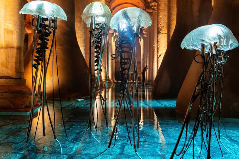 Istanbul: Tour guidato della Basilica della Cisterna