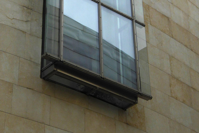 Bilbao: Titânio e Vidro - Tour Particular (Alemão/Inglês)Tour particular: Guggenheim-Insider (em alemão)