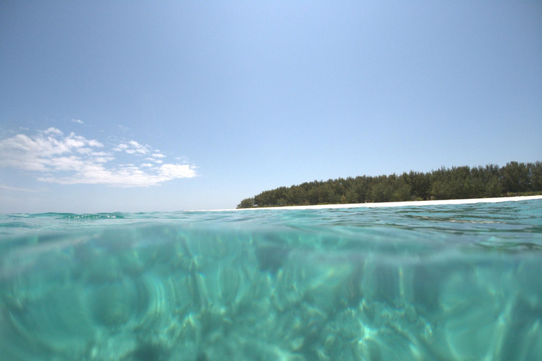 Excursion de plongée en apnée sur l&#039;île de Mnemba avec déjeuner