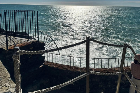 Florence to Cinque Terre e Pisa: Private Full-Day Tour