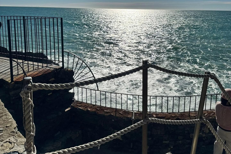 Florence to Cinque Terre e Pisa: Private Full-Day Tour