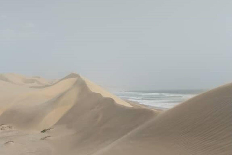 Walvis Bay: Obserwacja ptaków i wycieczka fotograficzna