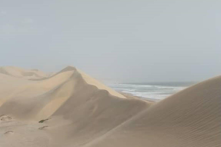 Walvis Bay: Obserwacja ptaków i wycieczka fotograficzna