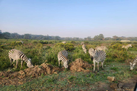 Nairobi: Lake Naivasha & Hell’s Gate National Park Day Trip