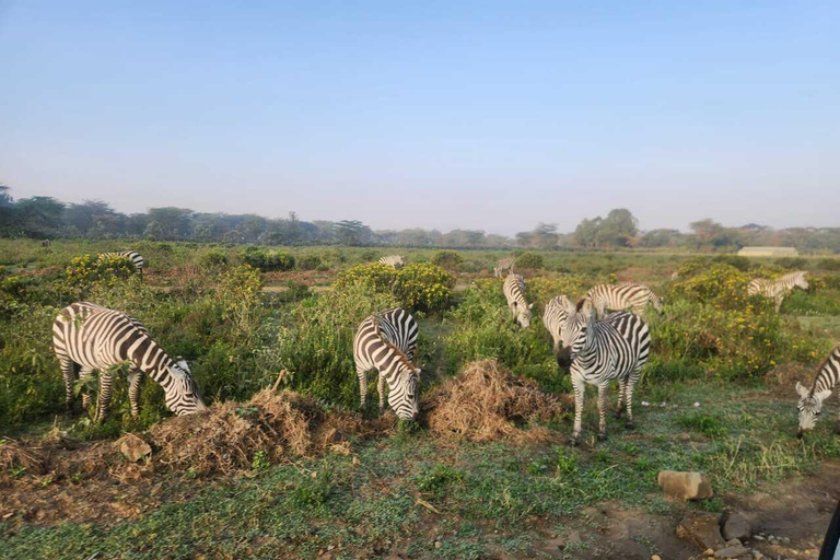 Nairobi: Lake Naivasha & Hell’s Gate National Park Day Trip