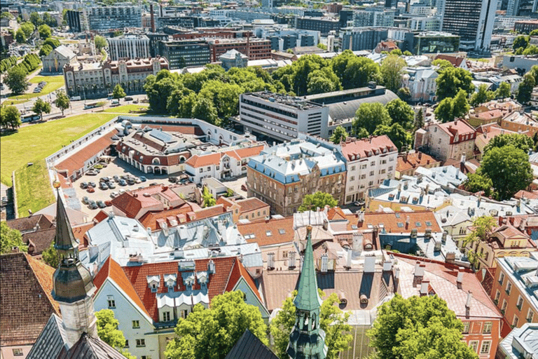 Helsinki to Tallinn Guided Tour with Cruise Ticket & Pickup
