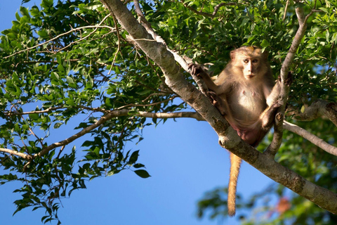 Da Nang: Monkey Mountain, Marble Mountains och Hoi An Tour