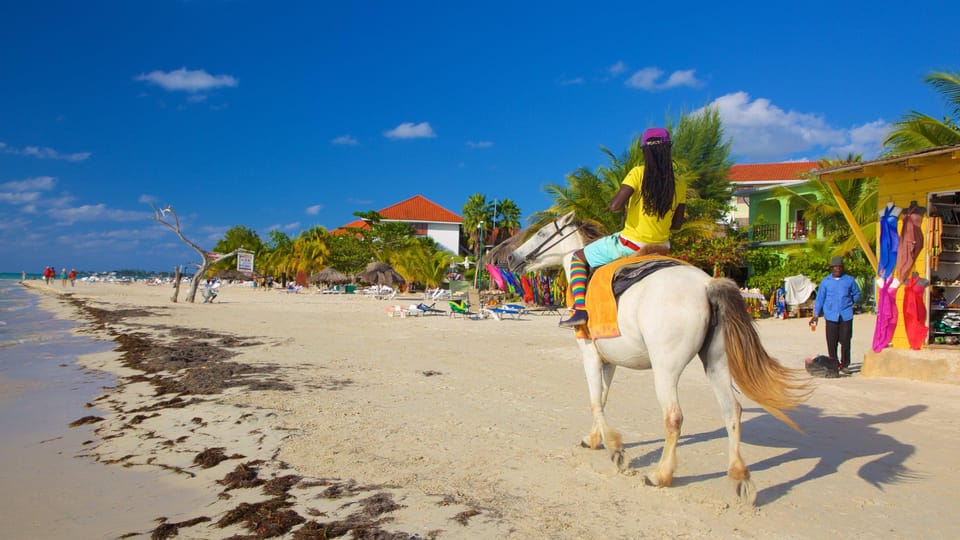 A wide stretch of pale sand along a calm turquoise sea, a rider on a white horse in the foreground and beach huts under palms behind