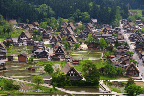 Shirakawago&amp;HidaTakayama&amp;GujoHachiman 1 dagtour vanuit Nagoya