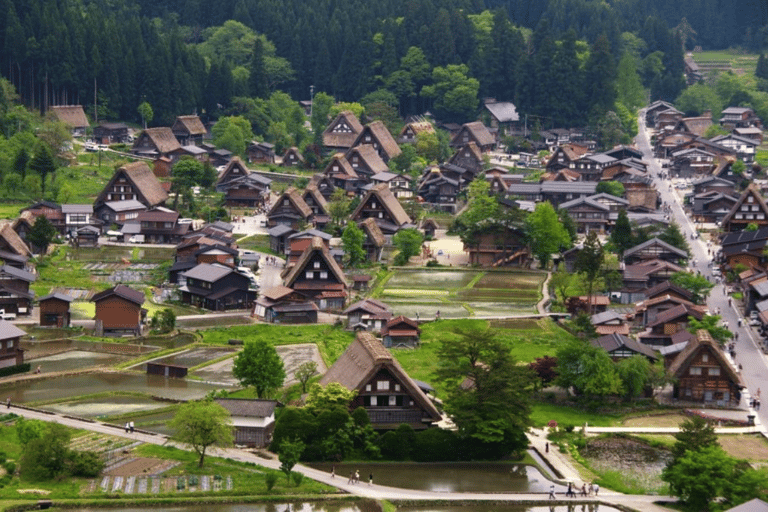 Visite à la journée de Shirakawago&amp;HidaTakayama&amp;GujoHachiman depuis Nagoya