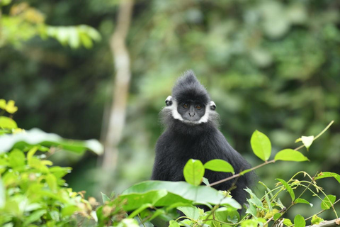 From Hue: Botanic Garden, Paradise Cave, and Dark Cave Tour