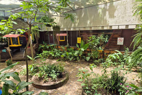 Mariposario Sierra Nevada Entry Ticket