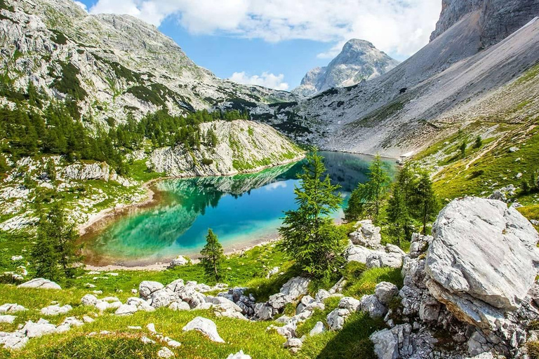 Bovec: Mountain Sunset Wine Tasting With Transfers And Guide