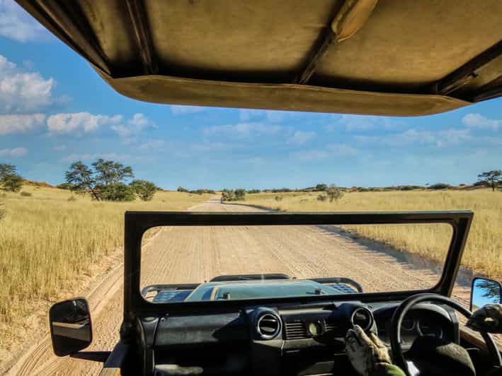 Johannesburg Day Trip to Cradle of Humankind and Game Drive GetYourGuide
