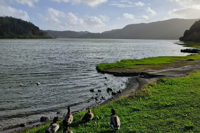 Furnas: full-day tour of hot springs and volcanic landscapes Furnas: a full-day tour of the hot springs and volcanic landscapes