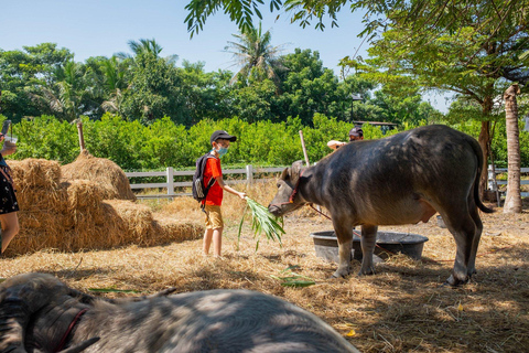 Bangkok to DuBua Café & Ayutthaya Private Day Trip