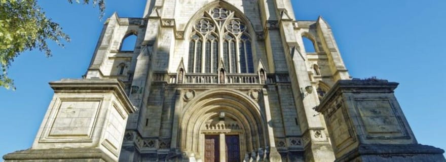 Visite à pied du patrimoine fascinant de Dunedin
