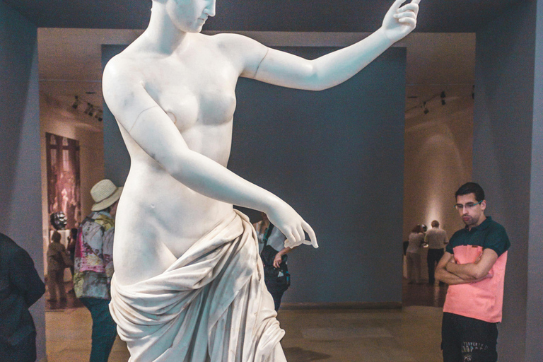 Naples: visit the MANN with skip-the-line ticket, audio guide, and transfer MANN ENTRANCE AND AUDIO GUIDE, PLUS TRANSFER SERVICE FROM THE HOTEL