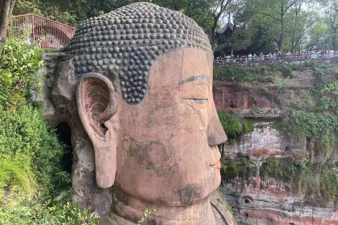 Chengdu: Escursione di un giorno a Chengdu con il Panda Gigante e il Buddha di LeshanCon il tour guidato privato di un giorno