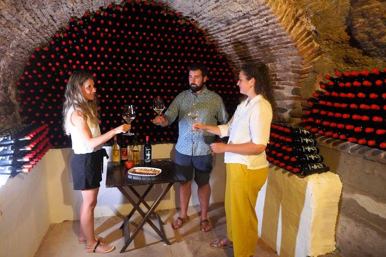 Authentic Rioja Wine Tasting in a Village near Logroño