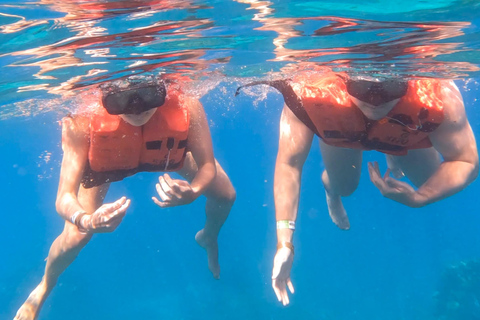 buceo isla catalina desde punta cana