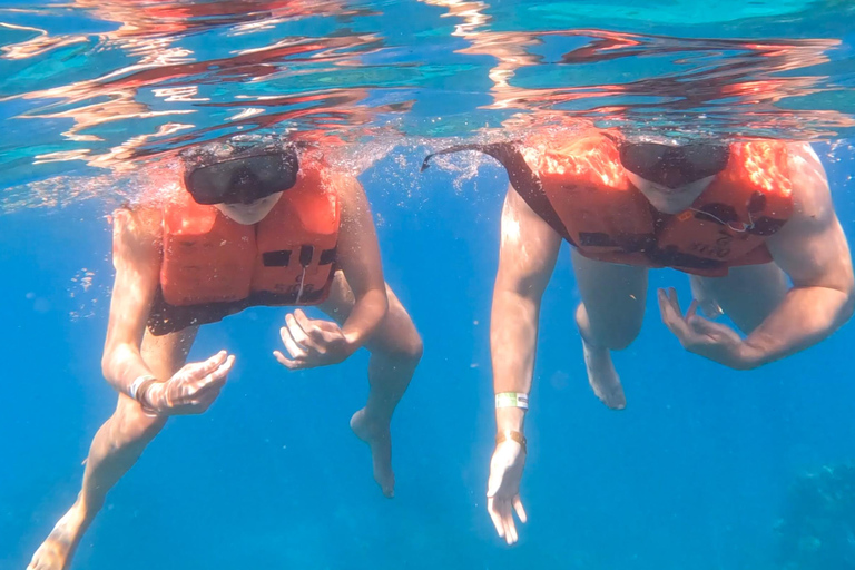 Tauchen auf der Catalina Insel von Punta Cana aus