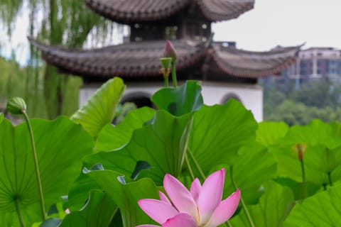 Beijing: Taoranting Park Entry Ticket