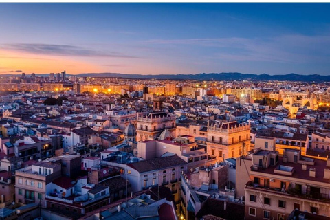 Valencia: Ein Rundgang zu den wichtigsten SehenswürdigkeitenValencia: 2-stündige private Tour zu Fuß