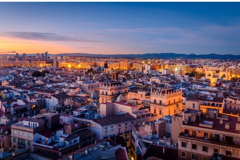 Valencia: Ein Rundgang zu den wichtigsten SehenswürdigkeitenValencia: 2-stündige private Tour zu Fuß