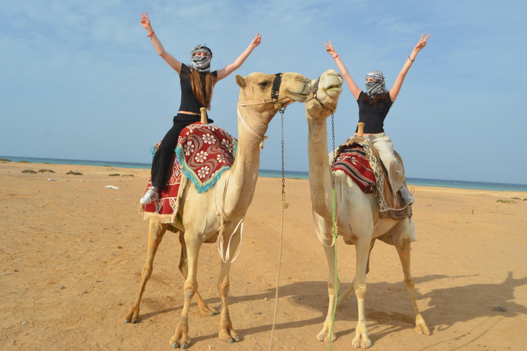 Makadi Bay: ATV, Horse, and Camel Ride Tour