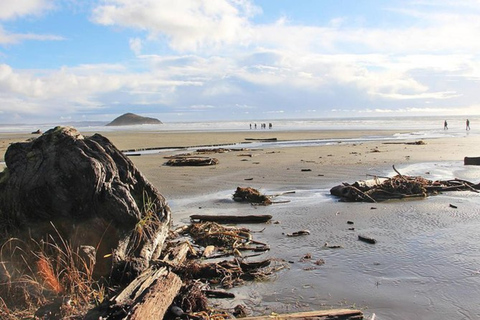 Circuit privé de 2 jours de Vancouver à Tofino