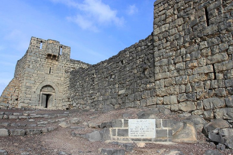 Ammán - Excursión de un día a los Castillos del Desierto y la Reserva del Humedal de Azraq