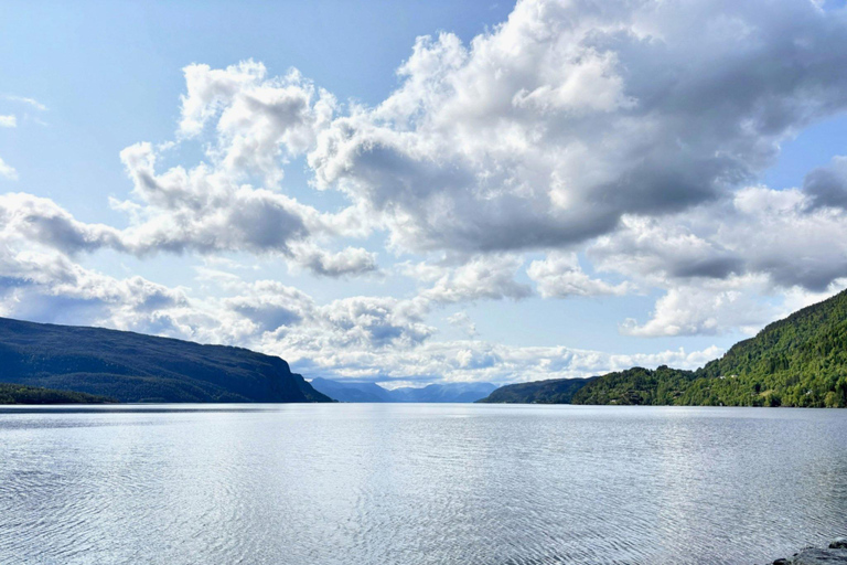 Scenic Hardangerfjord with Waterfalls & Lunch at a Garden 